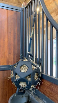 Kentucky Relax Paard Spel & Hooi Bal Speelgoed voor paarden - Maddelin Equestrian Kentucky