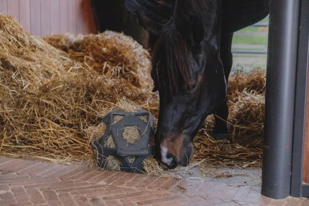 Kentucky Relax Paard Spel & Hooi Bal Speelgoed voor paarden - Maddelin Equestrian Kentucky