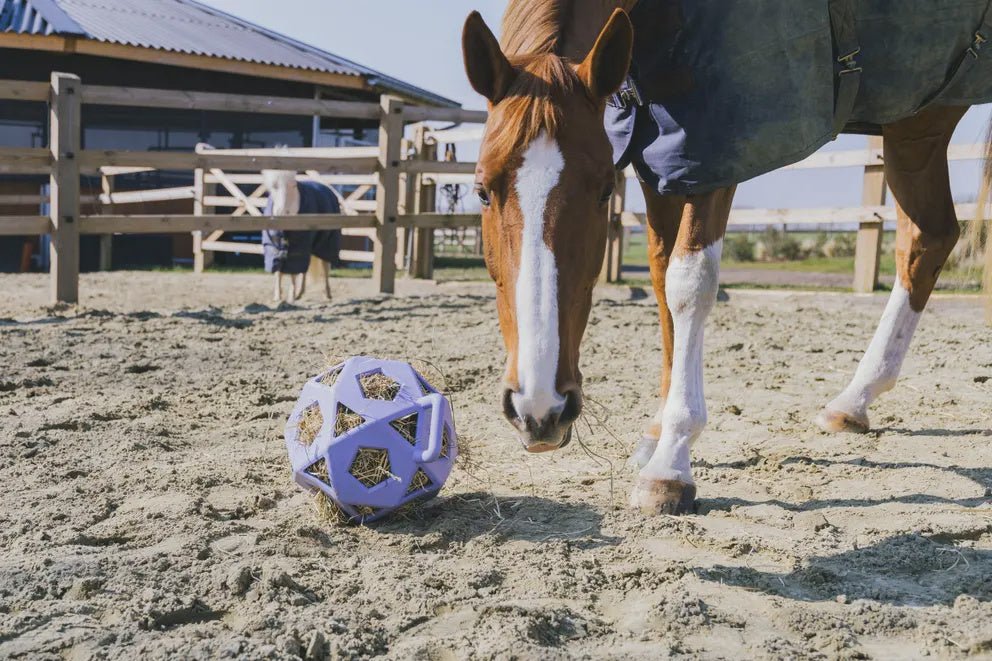 Kentucky Relax Paard Spel & Hooi Bal Speelgoed voor paarden - Maddelin Equestrian Kentucky