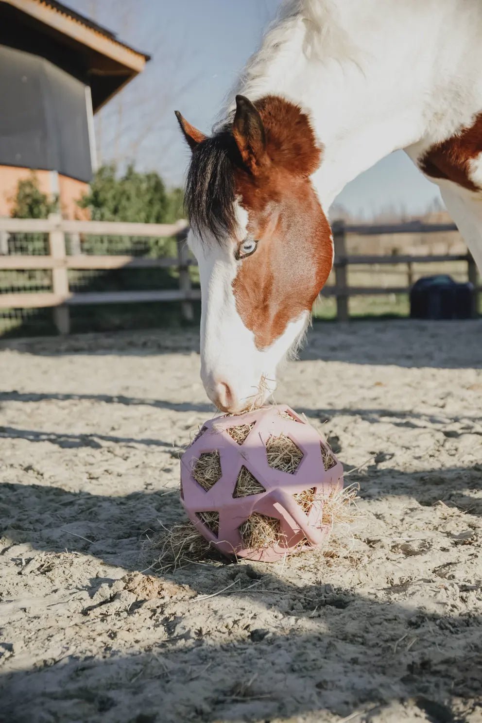 Kentucky Relax Paard Spel & Hooi Bal Speelgoed voor paarden - Maddelin Equestrian Kentucky