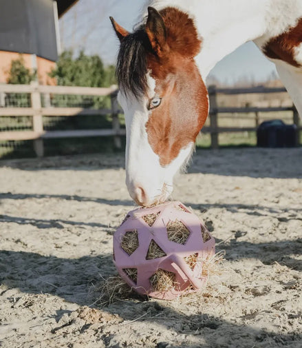 Kentucky Relax Paard Spel & Hooi Bal Speelgoed voor paarden - Maddelin Equestrian Kentucky
