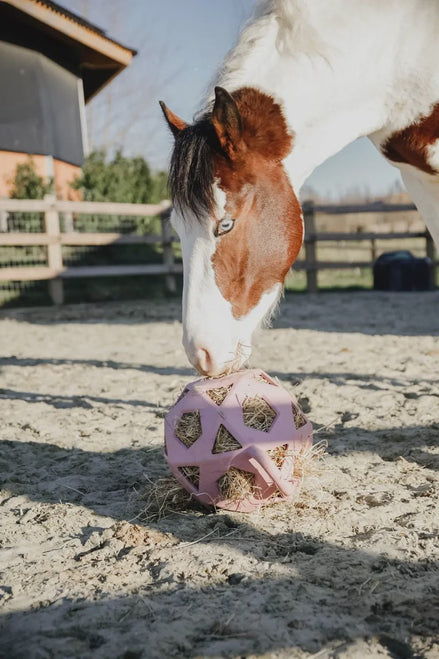 Kentucky Relax Paard Spel & Hooi Bal Speelgoed voor paarden - Maddelin Equestrian Kentucky