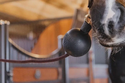 Kentucky Rubber Ball Protection wall & lead Stalbenodigdheden - Maddelin Equestrian Kentucky