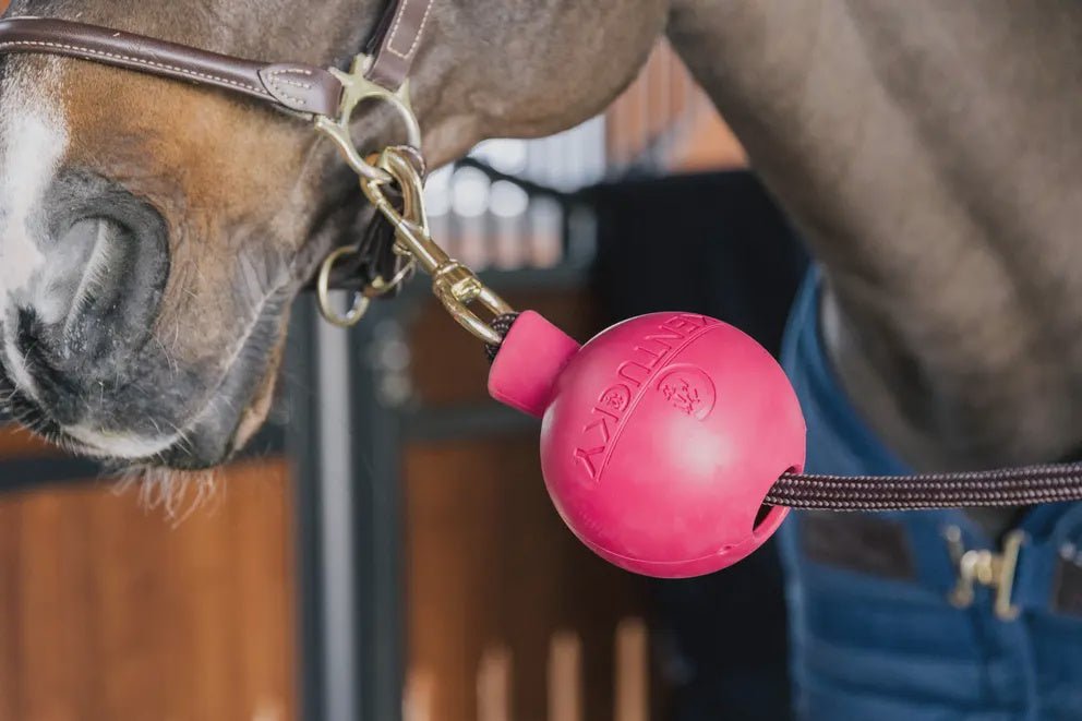 Kentucky Rubber Ball Protection wall & lead Stalbenodigdheden - Maddelin Equestrian Kentucky