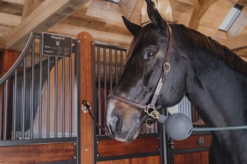 Kentucky Rubber Ball Protection wall & lead Stalbenodigdheden - Maddelin Equestrian Kentucky