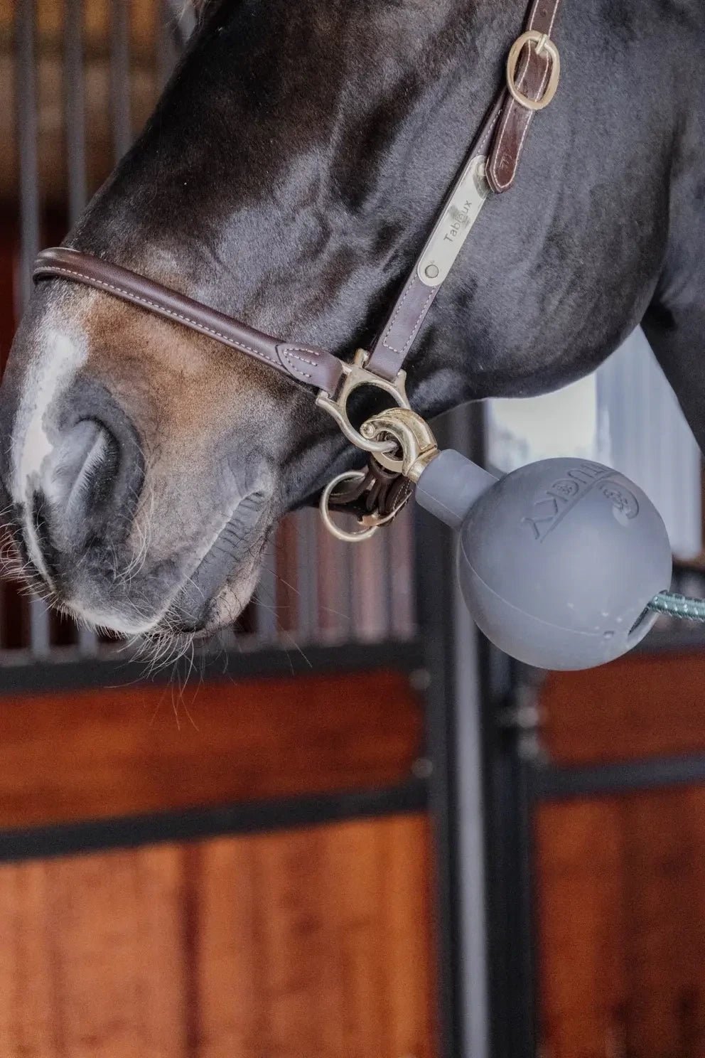 Kentucky Rubber Ball Protection wall & lead Stalbenodigdheden - Maddelin Equestrian Kentucky