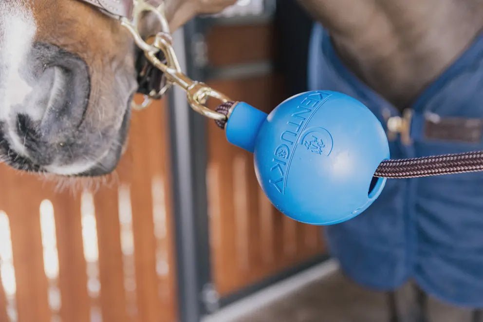 Kentucky Rubber Ball Protection wall & lead Stalbenodigdheden - Maddelin Equestrian Kentucky