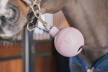 Kentucky Rubber Ball Protection wall & lead Stalbenodigdheden - Maddelin Equestrian Kentucky