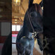Kentucky Rubber Ball Protection wall & lead Stalbenodigdheden - Maddelin Equestrian Kentucky