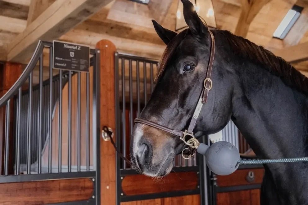 Kentucky Rubber Ball Protection wall & lead Stalbenodigdheden - Maddelin Equestrian Kentucky