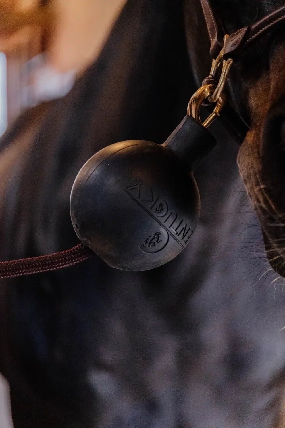 Kentucky Rubber Ball Protection wall & lead Stalbenodigdheden - Maddelin Equestrian Kentucky