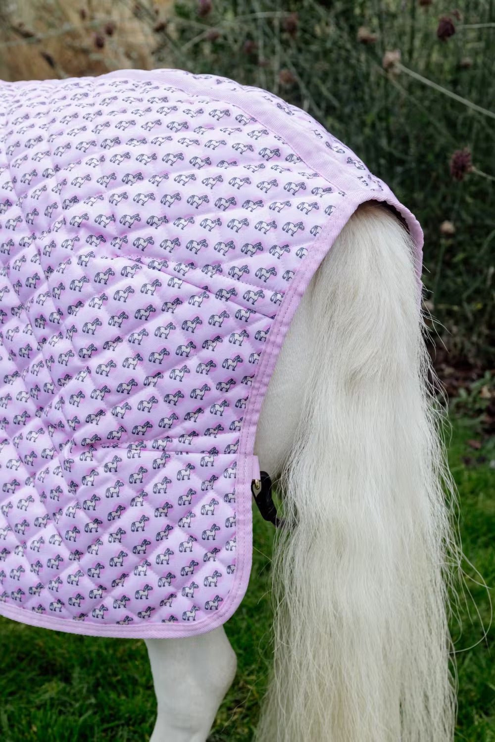 Kentucky Sammy Show Rug Staldeken - Maddelin Equestrian Kentucky