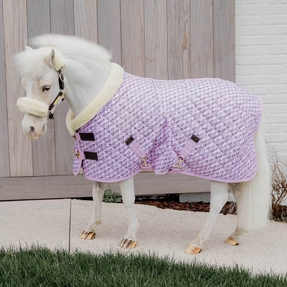 Kentucky Sammy Show Rug Staldeken - Maddelin Equestrian Kentucky