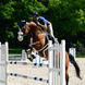 Kentucky Sheepskin Springsingel Singels - Maddelin Equestrian Kentucky