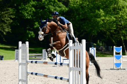 Kentucky Sheepskin Springsingel Singels - Maddelin Equestrian Kentucky