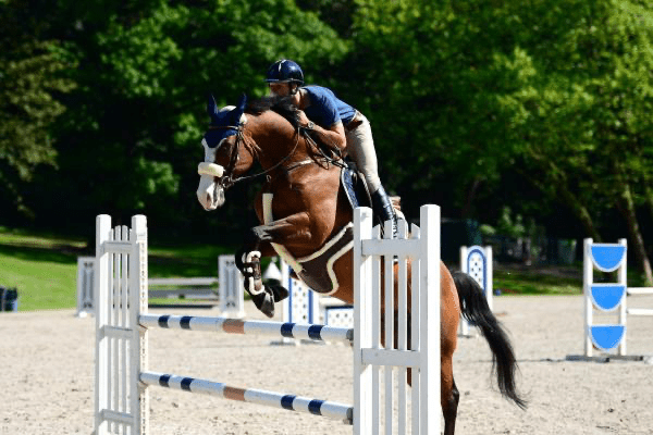 Kentucky Sheepskin Springsingel Singels - Maddelin Equestrian Kentucky