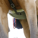 Kentucky Sheepskin Springsingel Singels - Maddelin Equestrian Kentucky