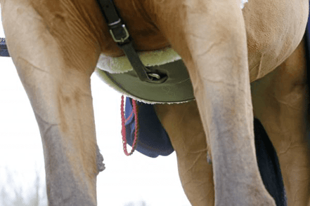 Kentucky Sheepskin Springsingel Singels - Maddelin Equestrian Kentucky