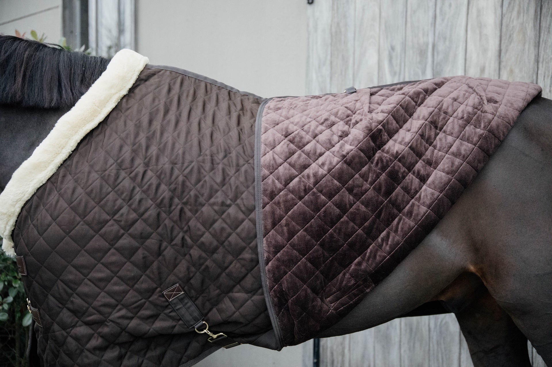 Kentucky Show Paardendeken Staldeken - Maddelin Equestrian Kentucky