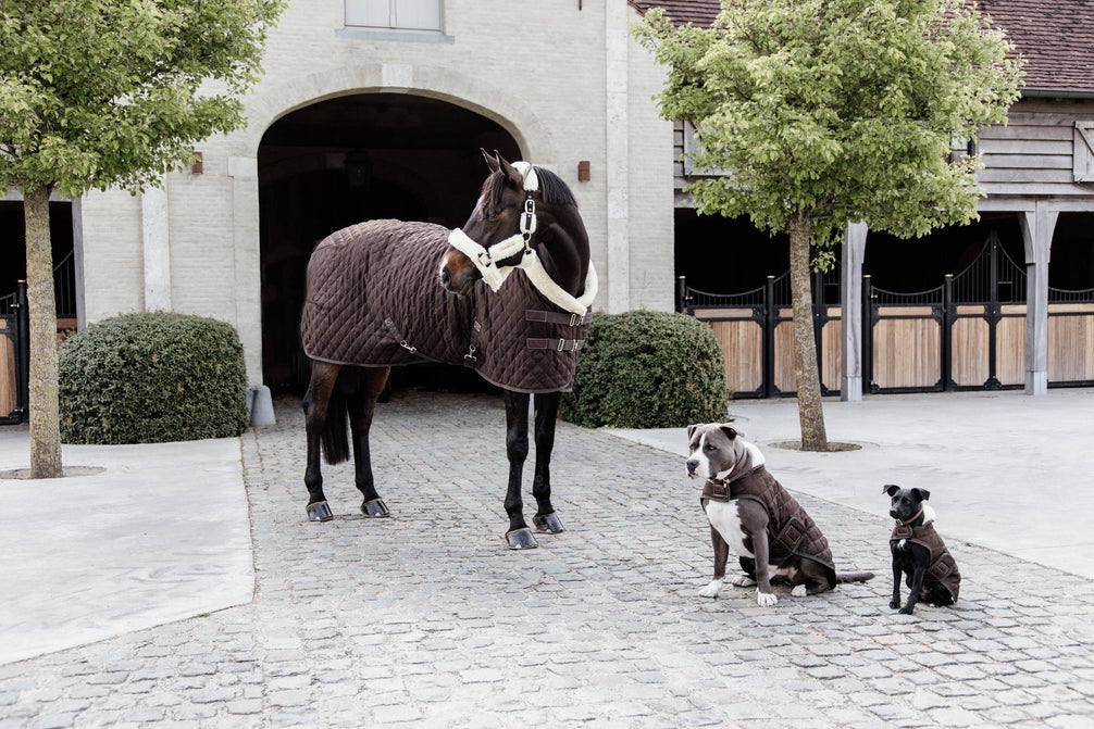 Kentucky Show Paardendeken Staldeken - Maddelin Equestrian Kentucky