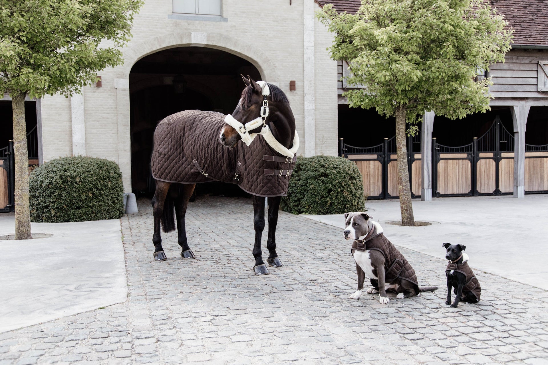 Kentucky Show Paardendeken Staldeken - Maddelin Equestrian Kentucky