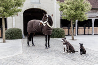 Kentucky Show Paardendeken Staldeken - Maddelin Equestrian Kentucky