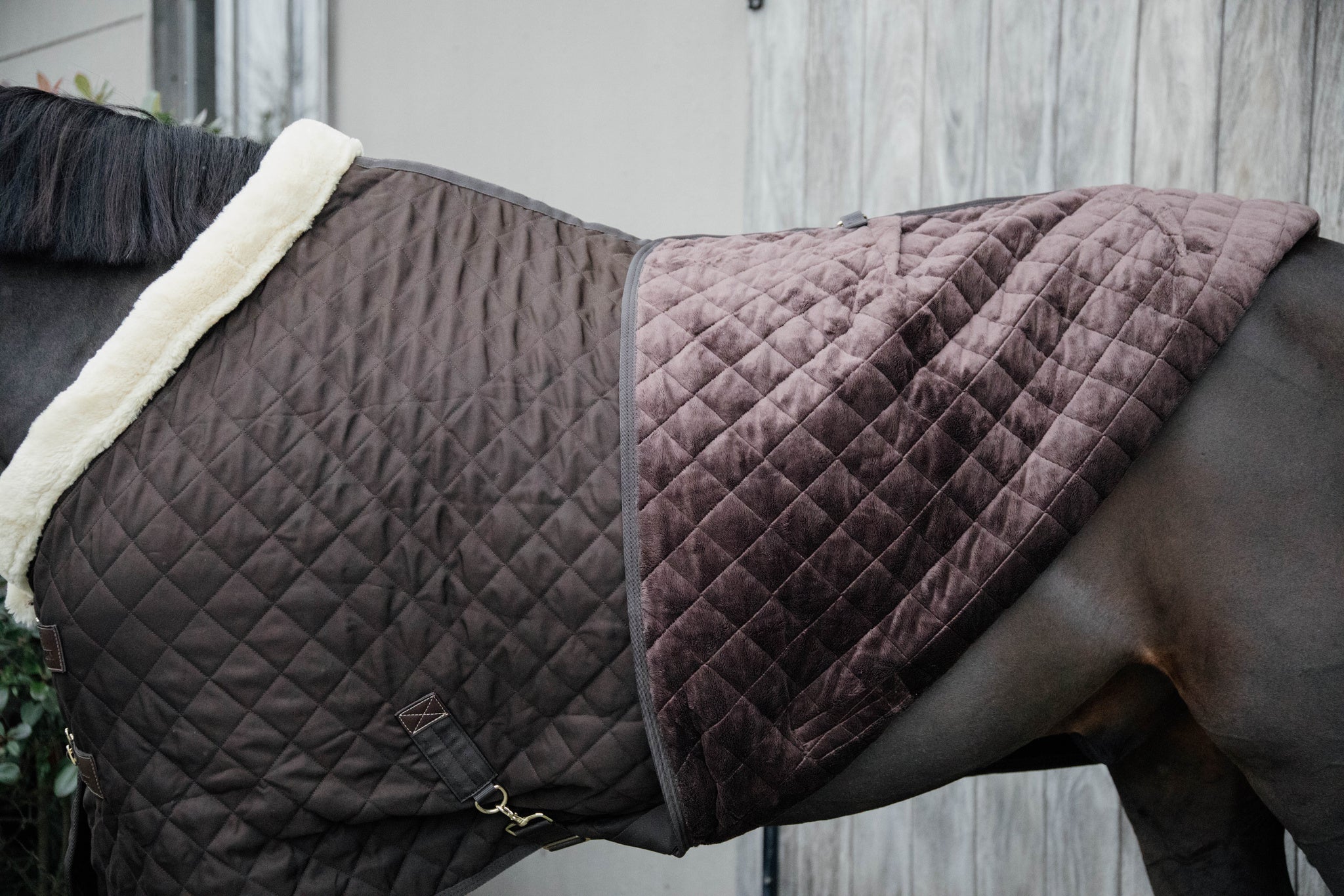 Kentucky Show Paardendeken Staldeken - Maddelin Equestrian Kentucky