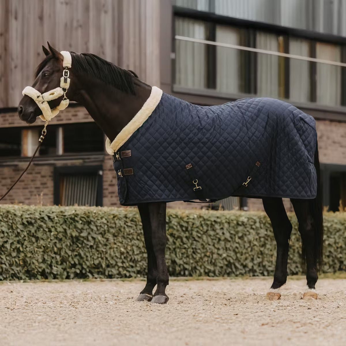 Kentucky Show Paardendeken Staldeken - Maddelin Equestrian Kentucky