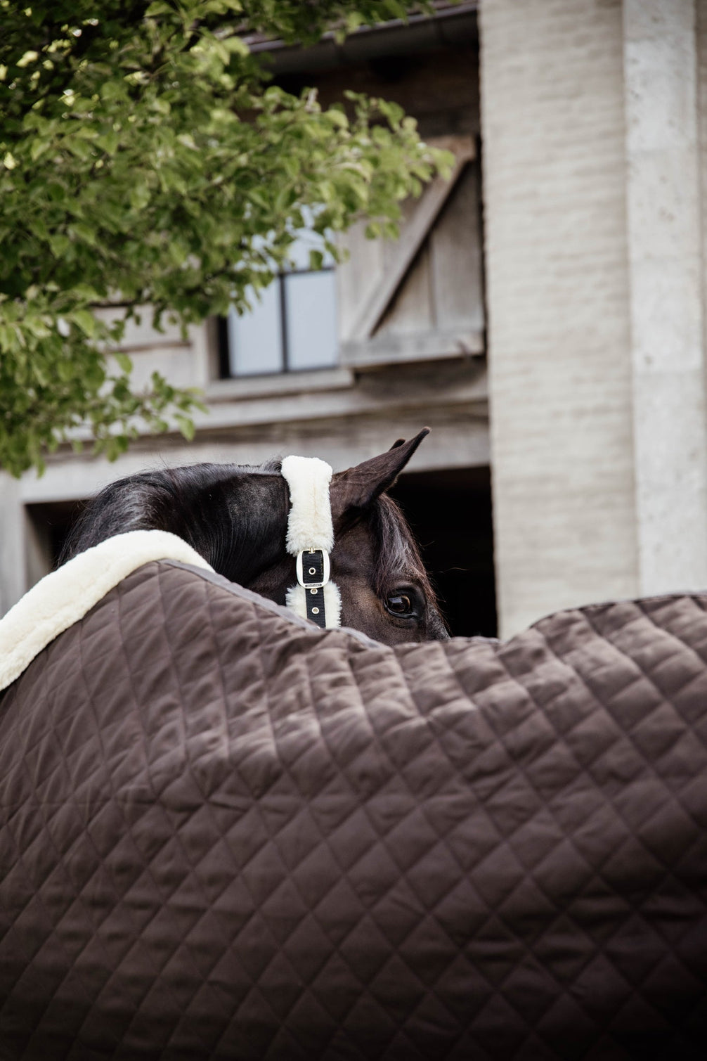 Kentucky Show Paardendeken Staldeken - Maddelin Equestrian Kentucky