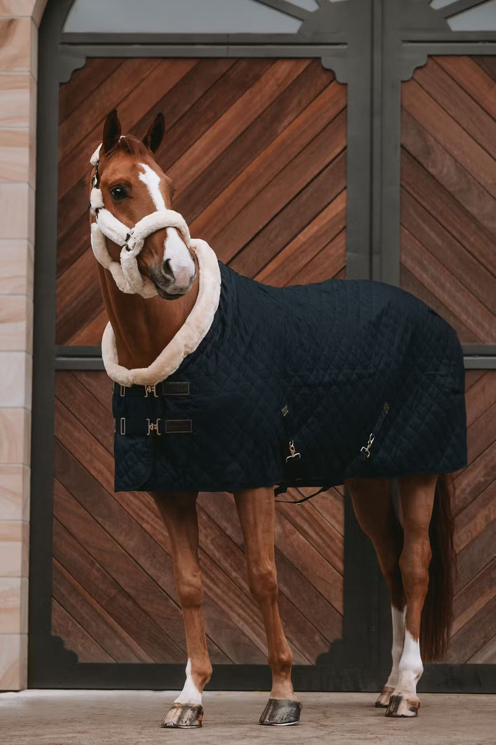 Kentucky Show Paardendeken Staldeken - Maddelin Equestrian Kentucky