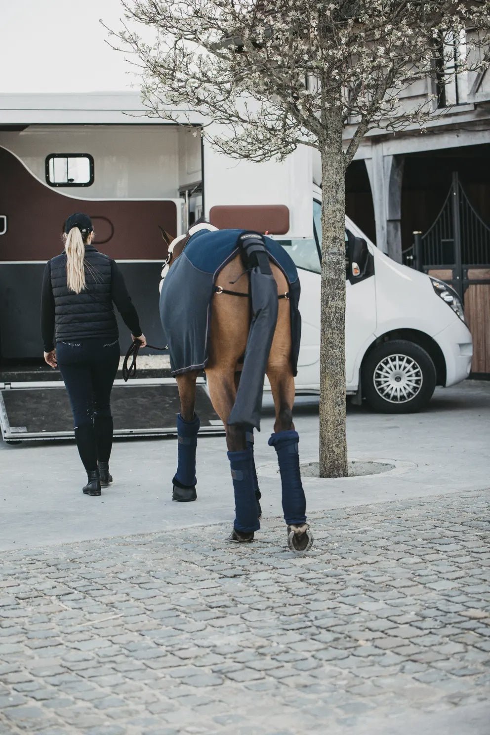 Kentucky Staartbeschermer & staartzak zwart Transport, therapeutisch en stalbeschermers - Maddelin Equestrian Kentucky