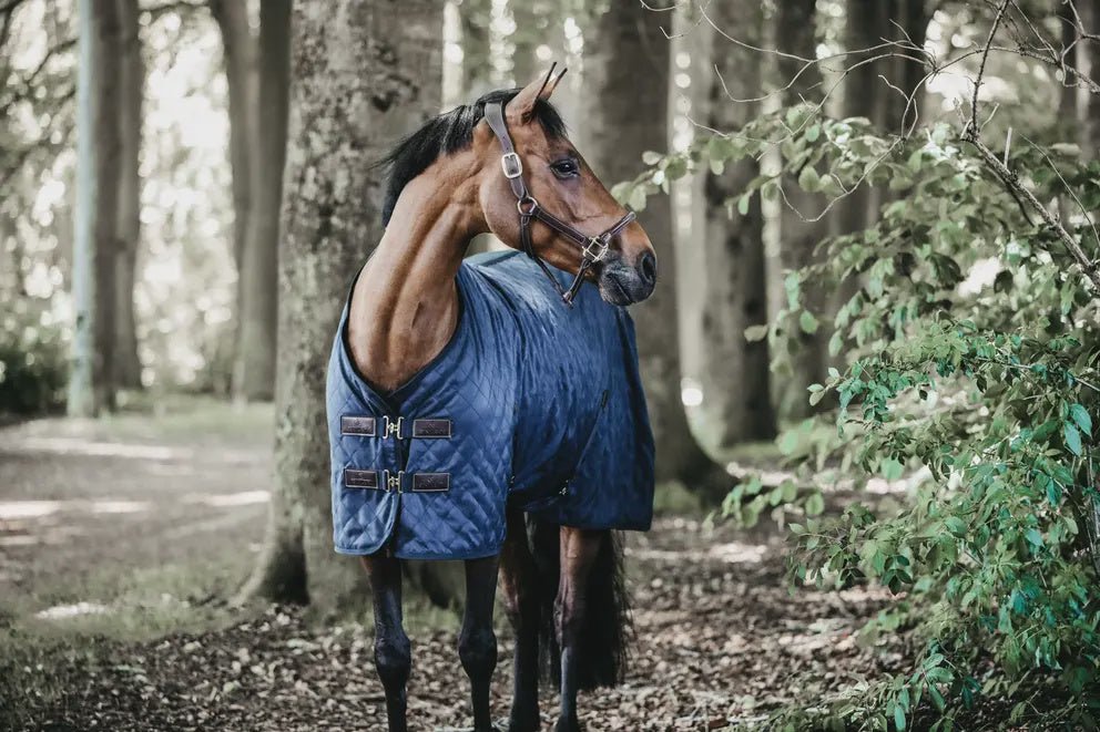Kentucky Stable Paardendeken 0g Staldeken - Maddelin Equestrian Kentucky