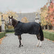 Kentucky Stable Paardendeken 400g Staldeken - Maddelin Equestrian Kentucky