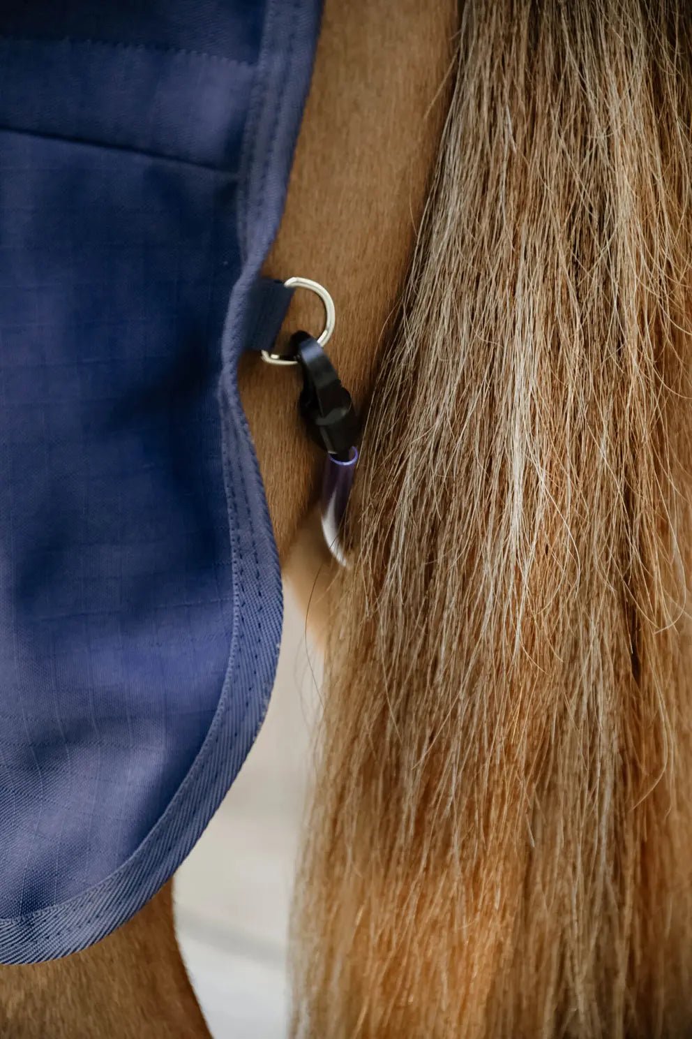 Kentucky Stable Paardendeken Classic Staldeken - Maddelin Equestrian Kentucky