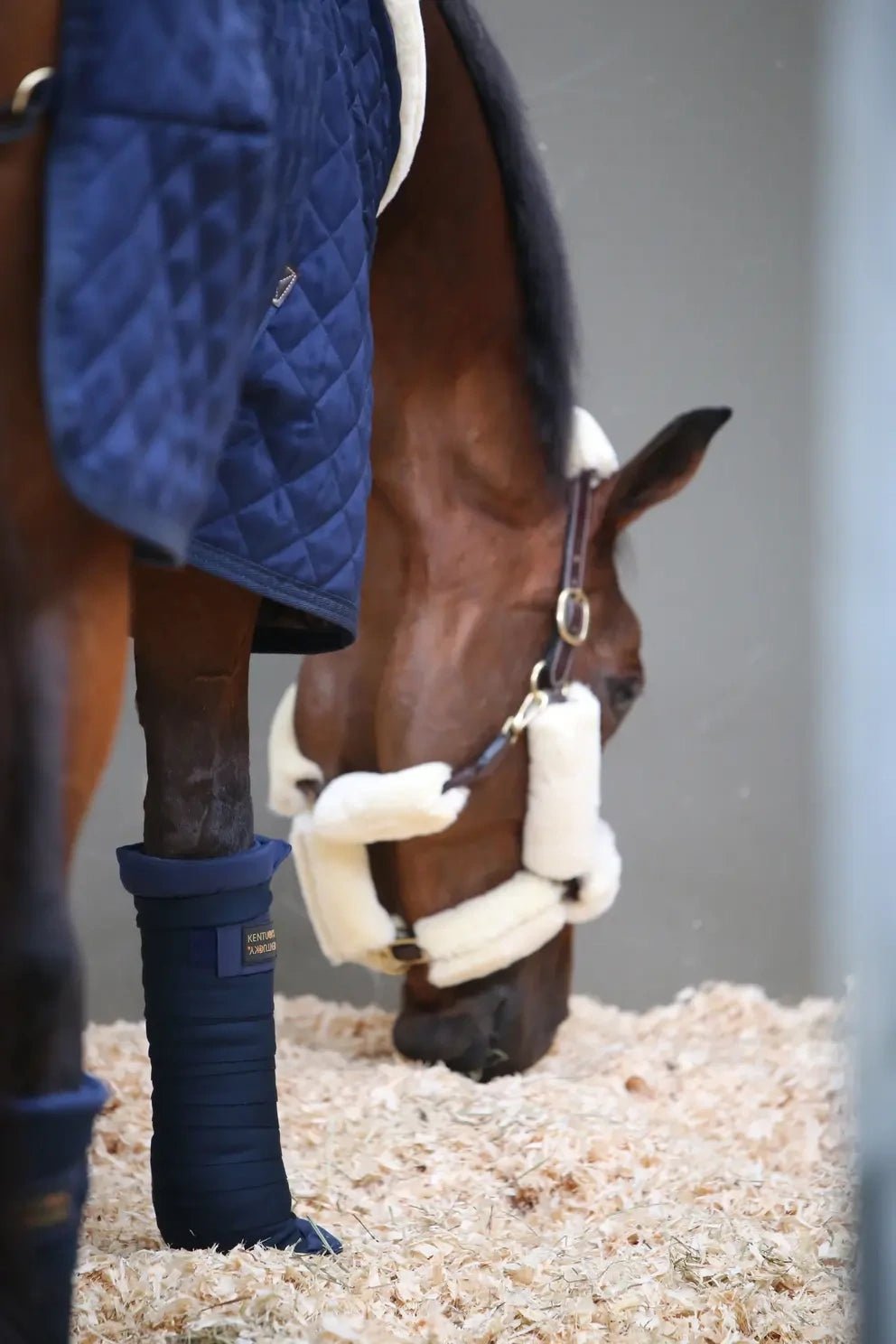Kentucky Stable Polo pads Bandages - Maddelin Equestrian Kentucky