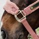 Kentucky Teddy Fleece Halster Halster met wol of faux fur - Maddelin Equestrian Kentucky