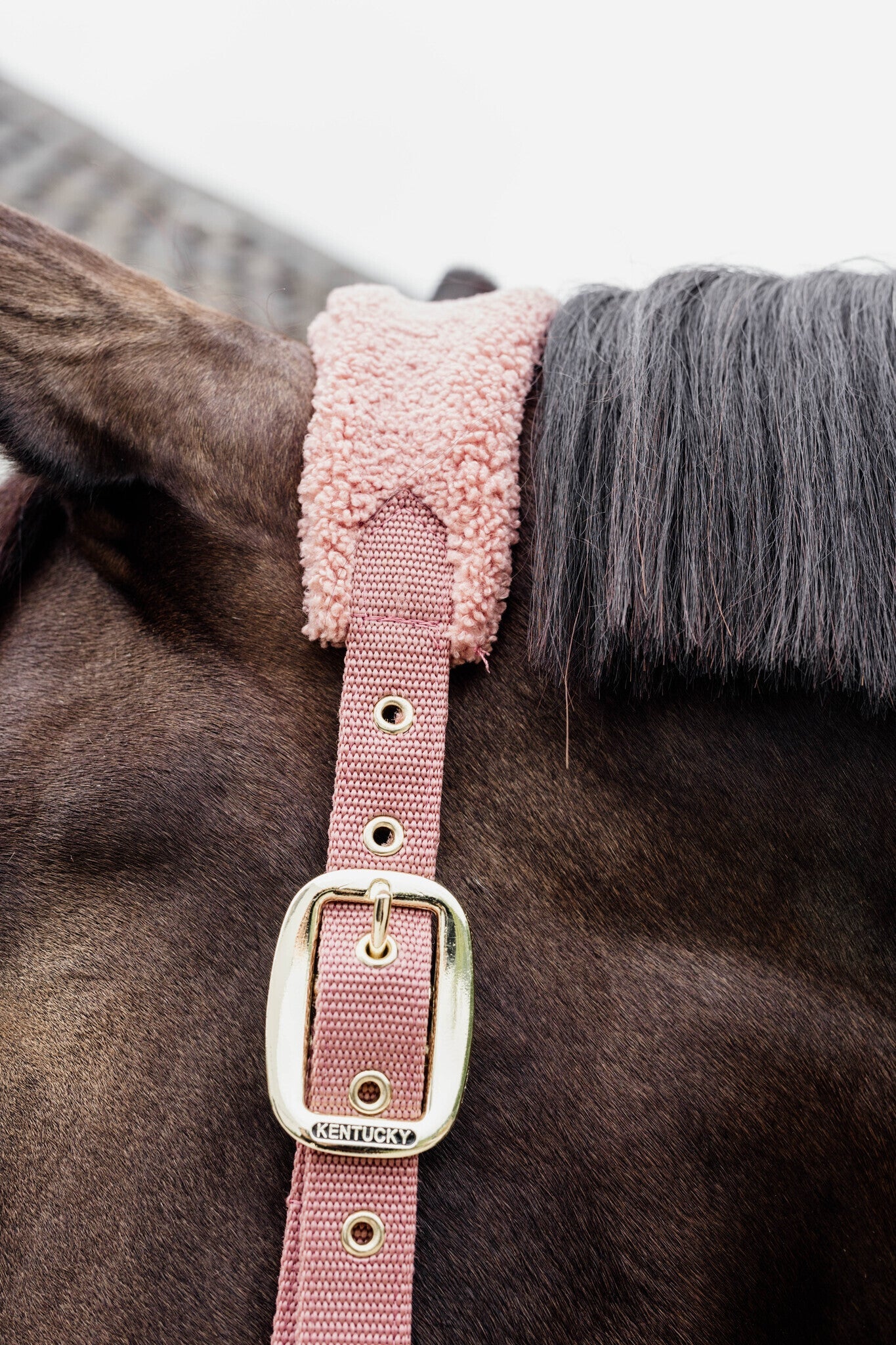 Kentucky Teddy Fleece Halster Halster met wol of faux fur - Maddelin Equestrian Kentucky