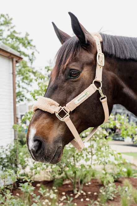 Kentucky Teddy Fleece Halster Halster met wol of faux fur - Maddelin Equestrian Kentucky