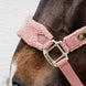 Kentucky Teddy Fleece Halster Halster met wol of faux fur - Maddelin Equestrian Kentucky