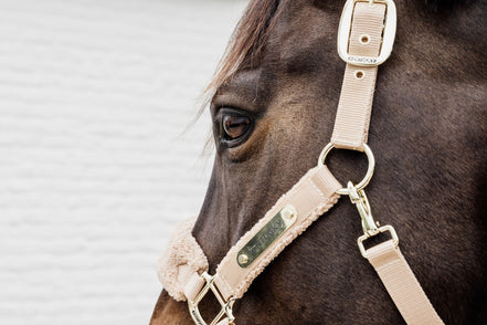 Kentucky Teddy Fleece Halster Halster met wol of faux fur - Maddelin Equestrian Kentucky