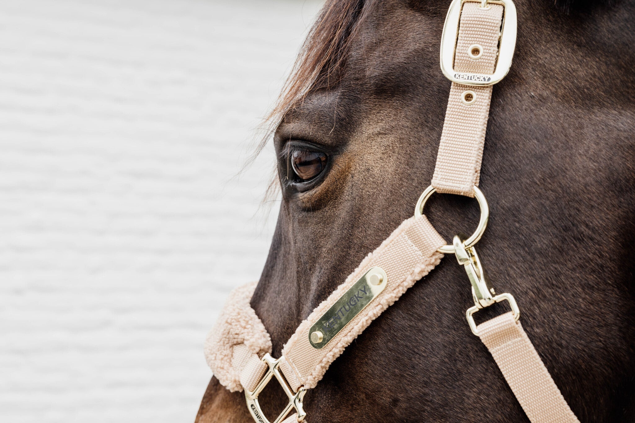 Kentucky Teddy Fleece Halster Halster met wol of faux fur - Maddelin Equestrian Kentucky