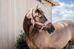 Kentucky Teddy Fleece Halster Halster met wol of faux fur - Maddelin Equestrian Kentucky