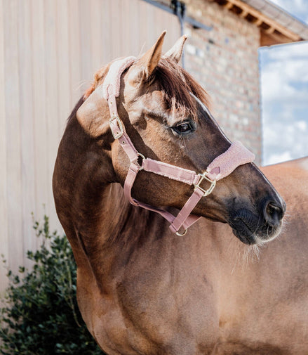 Kentucky Teddy Fleece Halster Halster met wol of faux fur - Maddelin Equestrian Kentucky