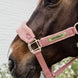 Kentucky Teddy Fleece Halster Halster met wol of faux fur - Maddelin Equestrian Kentucky