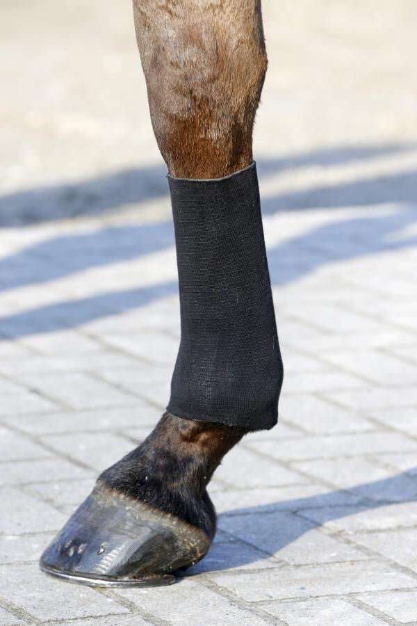 Kentucky Tendon grip gel kous zwart Transport, therapeutisch en stalbeschermers - Maddelin Equestrian Kentucky