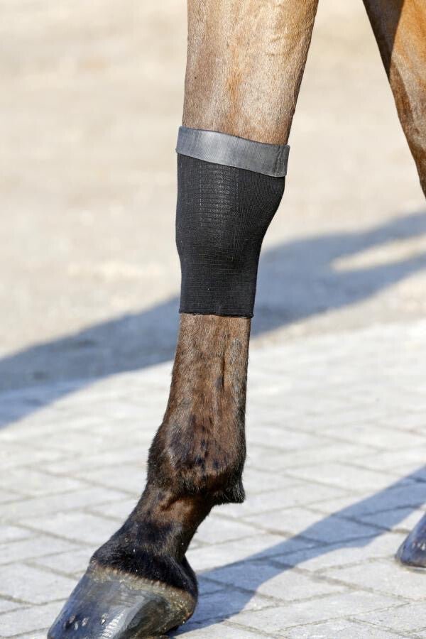 Kentucky Tendon grip gel kous zwart Transport, therapeutisch en stalbeschermers - Maddelin Equestrian Kentucky
