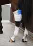 Kentucky Tendon grip kous beige Transport, therapeutisch en stalbeschermers - Maddelin Equestrian Kentucky