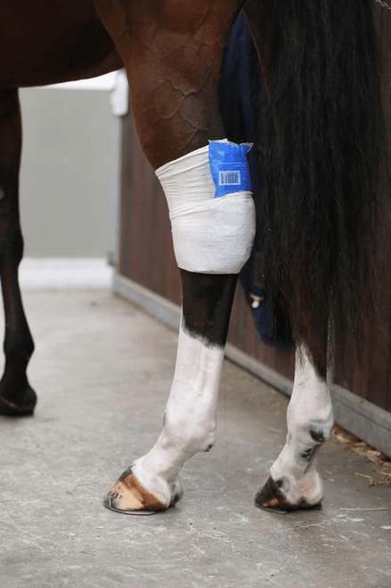 Kentucky Tendon grip kous beige Transport, therapeutisch en stalbeschermers - Maddelin Equestrian Kentucky