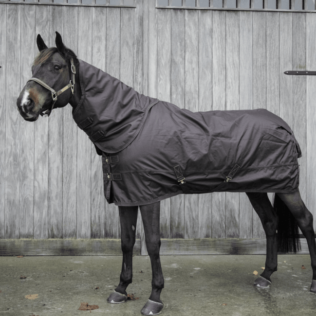 Kentucky Turnout All Weather Waterdicht Pro - Limited Edition Outdoordeken - Maddelin Equestrian Kentucky