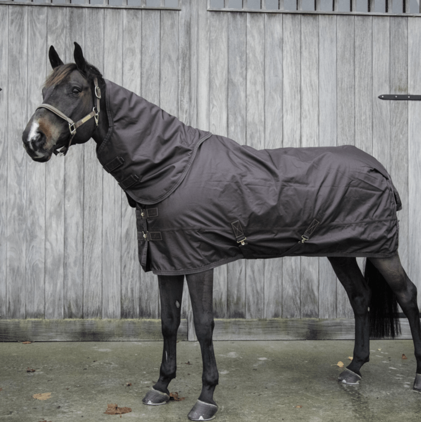 Kentucky Turnout All Weather Waterdicht Pro - Limited Edition Outdoordeken - Maddelin Equestrian Kentucky